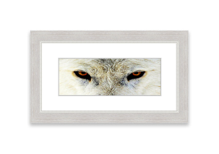 Framed print of Arctic Wolf Eyes, showcasing detailed artwork with vibrant colors, ready to hang.