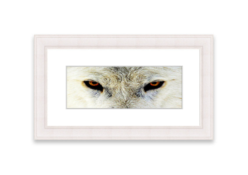 Framed print of Arctic Wolf Eyes, showcasing detailed artwork with vibrant colors, ready to hang.