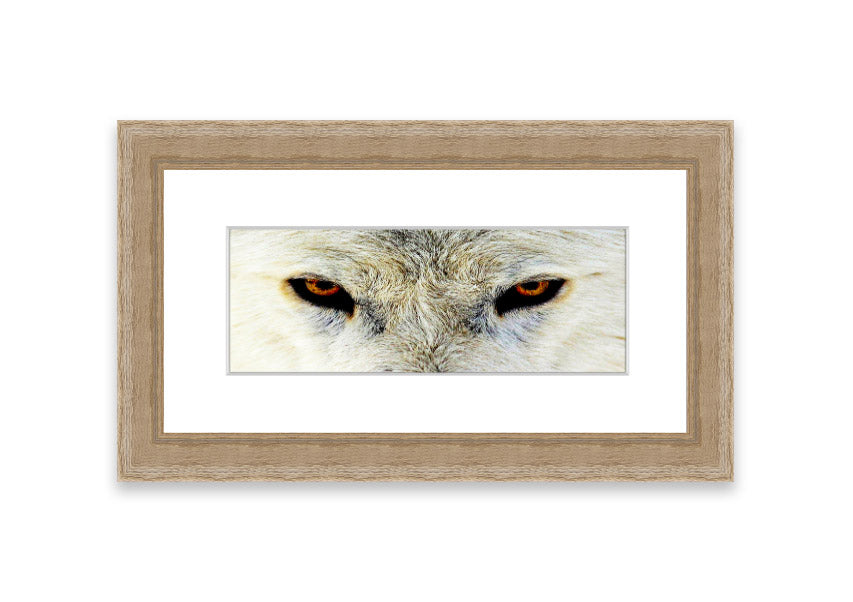 Framed print of Arctic Wolf Eyes, showcasing detailed artwork with vibrant colors, ready to hang.