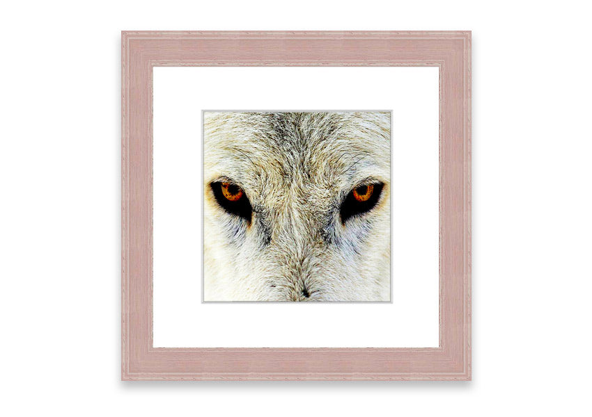 Framed print of Arctic Wolf Eyes, showcasing detailed artwork with vibrant colors, ready to hang.