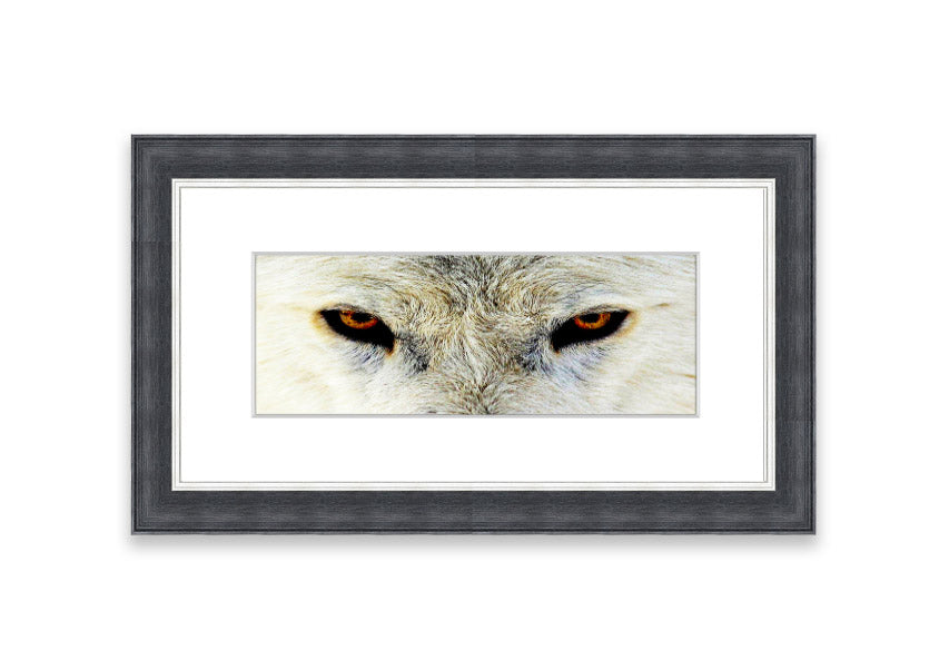 Framed print of Arctic Wolf Eyes, showcasing detailed artwork with vibrant colors, ready to hang.