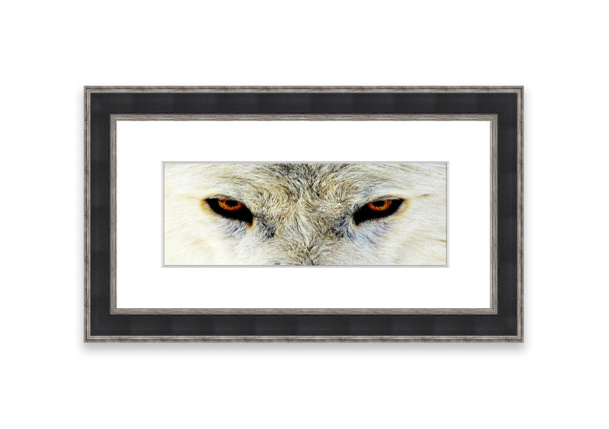 Framed print of Arctic Wolf Eyes, showcasing detailed artwork with vibrant colors, ready to hang.