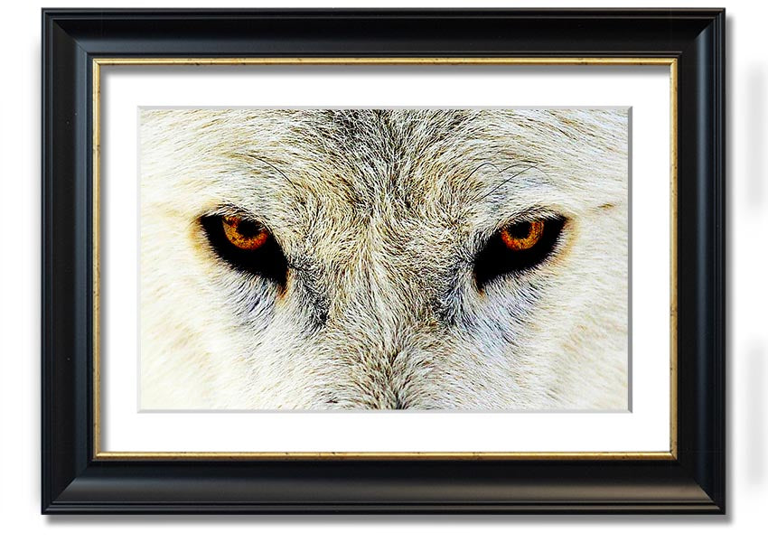 Framed print of Arctic Wolf Eyes, showcasing detailed artwork with a striking gaze, available in various frame colors.