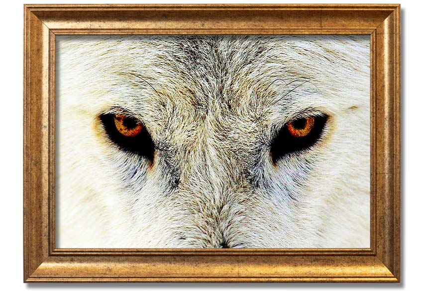 Framed print of Arctic Wolf Eyes, showcasing detailed artwork with a striking gaze, available in various frame colors.