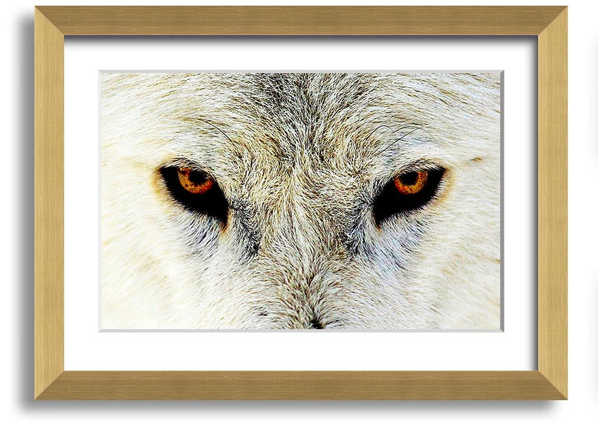 Framed print of Arctic Wolf Eyes, showcasing detailed artwork with a striking gaze, available in various frame colors.