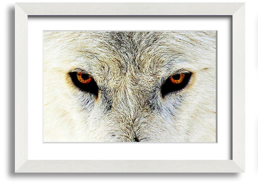 Framed print of Arctic Wolf Eyes, showcasing detailed artwork with a striking gaze, available in various frame colors.