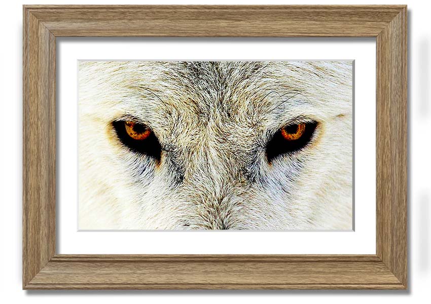 Framed print of Arctic Wolf Eyes, showcasing detailed artwork with a striking gaze, available in various frame colors.