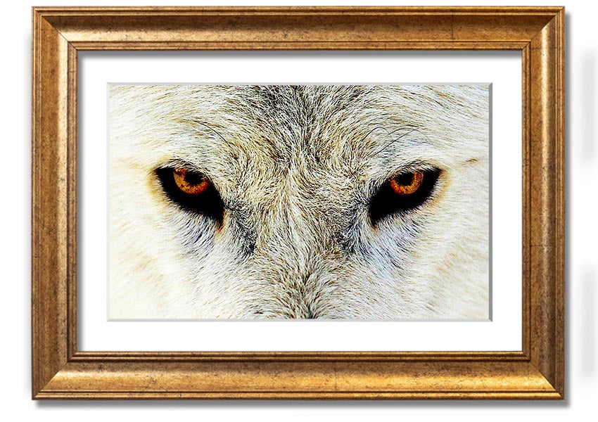 Framed print of Arctic Wolf Eyes, showcasing detailed artwork with a striking gaze, available in various frame colors.