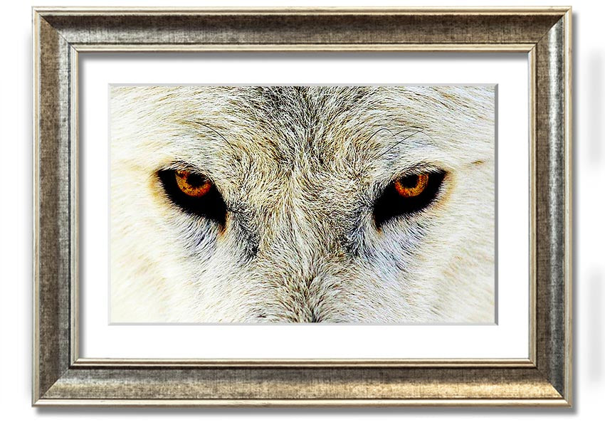 Framed print of Arctic Wolf Eyes, showcasing detailed artwork with a striking gaze, available in various frame colors.