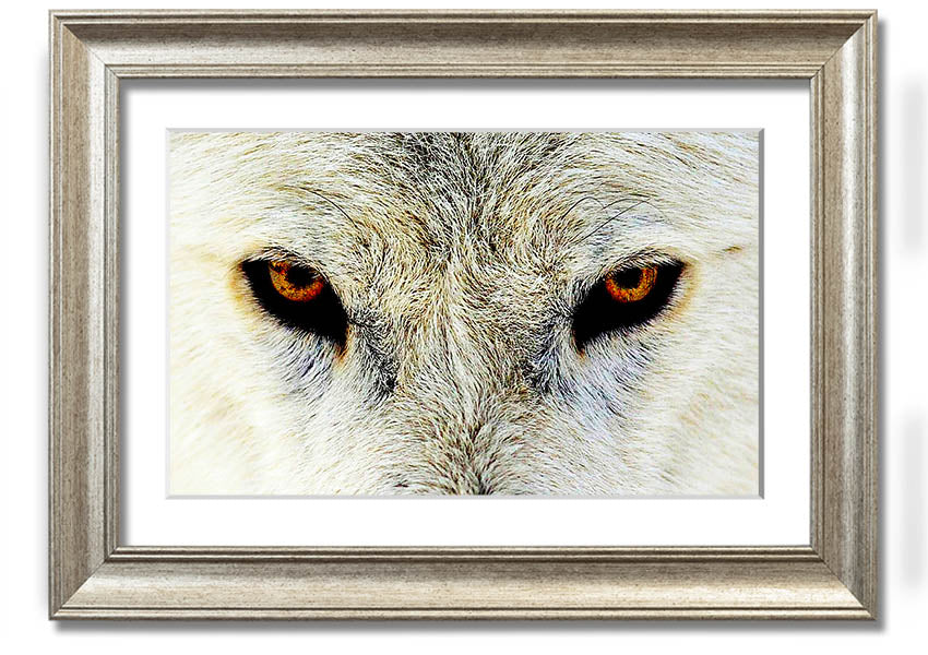 Framed print of Arctic Wolf Eyes, showcasing detailed artwork with a striking gaze, available in various frame colors.