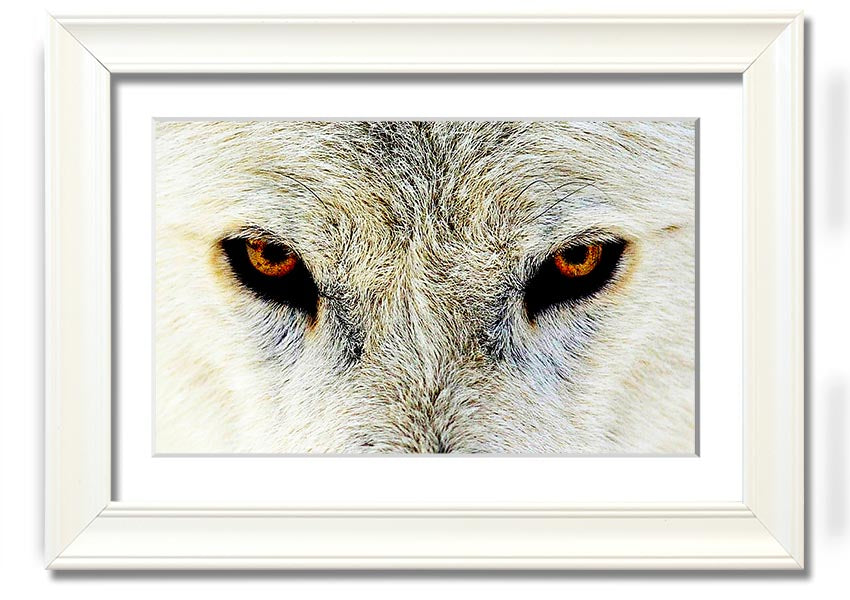 Framed print of Arctic Wolf Eyes, showcasing detailed artwork with a striking gaze, available in various frame colors.