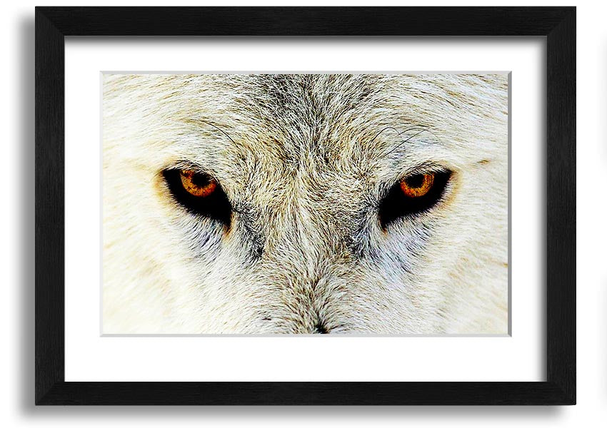 Framed print of Arctic Wolf Eyes, showcasing detailed artwork with a striking gaze, available in various frame colors.