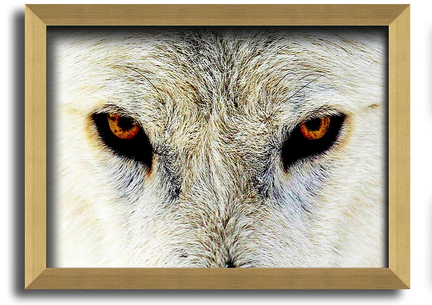 Framed print of Arctic Wolf Eyes, showcasing detailed artwork with a striking gaze, available in various frame colors.