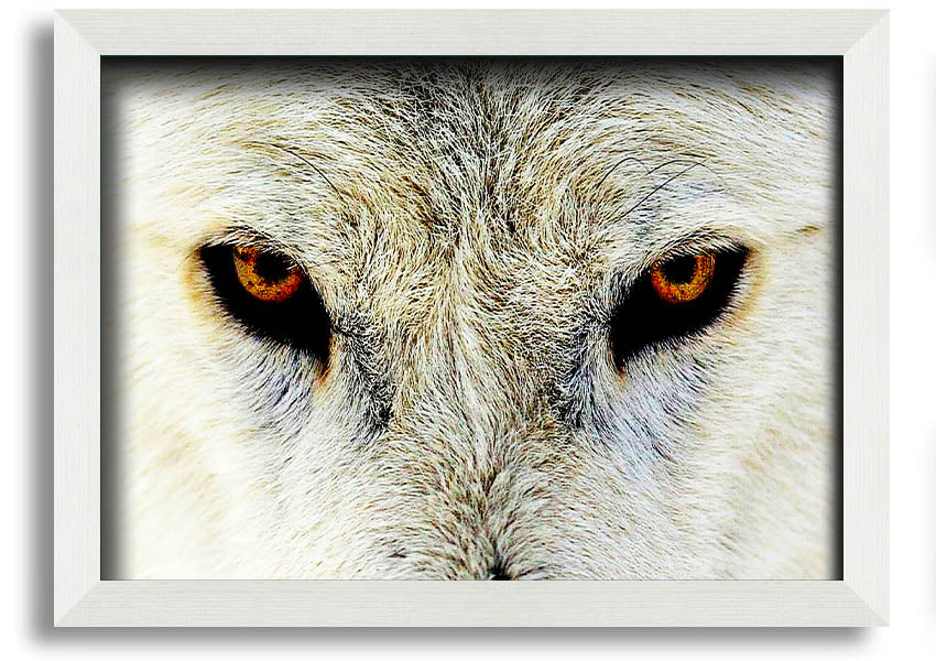 Framed print of Arctic Wolf Eyes, showcasing detailed artwork with a striking gaze, available in various frame colors.