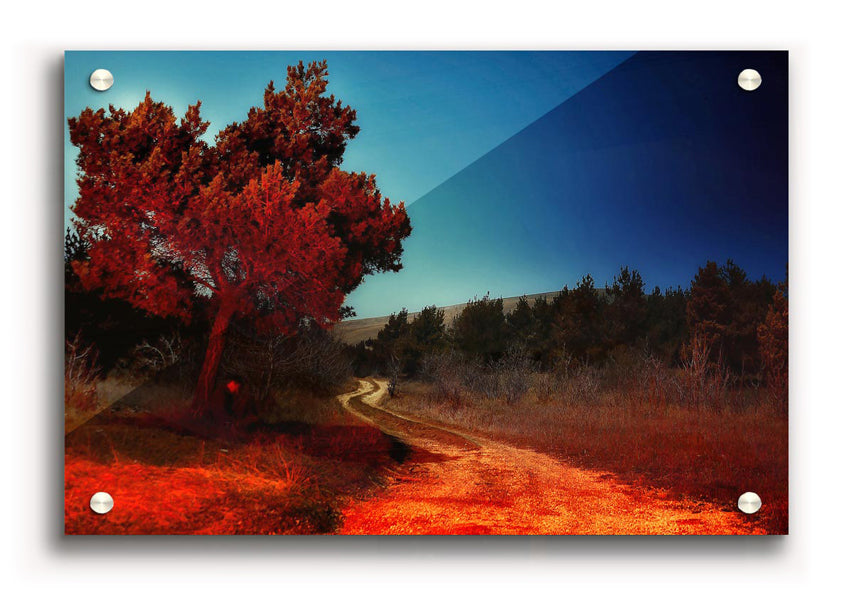 A vibrant acrylic print of Armenia's Secret Place, showcasing stunning scenery on 5mm thick acrylic glass.