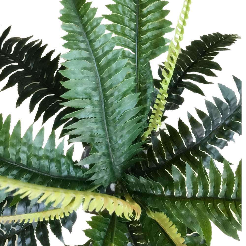 Artificial Dark Green Boston Fern standing 60cm tall with lush, realistic leaves, perfect for indoor and outdoor decor.