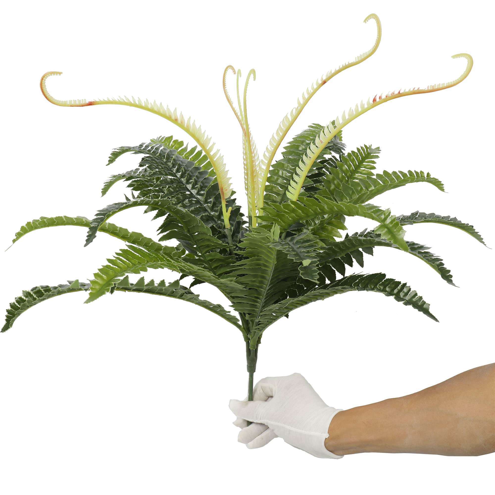 Artificial Dark Green Boston Fern standing 60cm tall with lush, realistic leaves, perfect for indoor and outdoor decor.