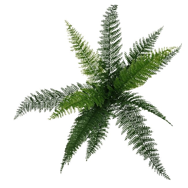 A 45cm tall artificial draping fern stem with lush green leaves, perfect for home decor and floral arrangements.