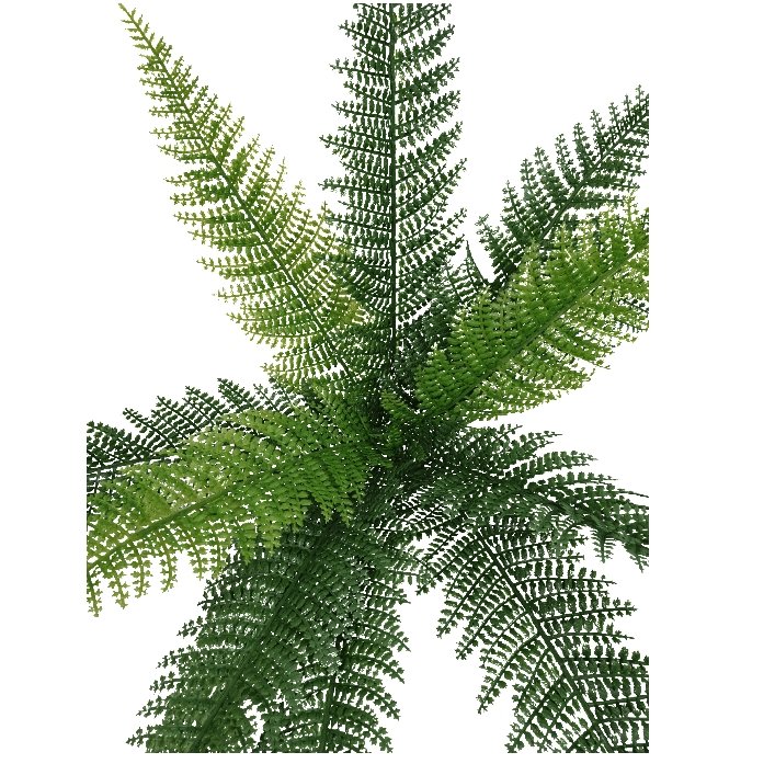 A 45cm tall artificial draping fern stem with lush green leaves, perfect for home decor and floral arrangements.