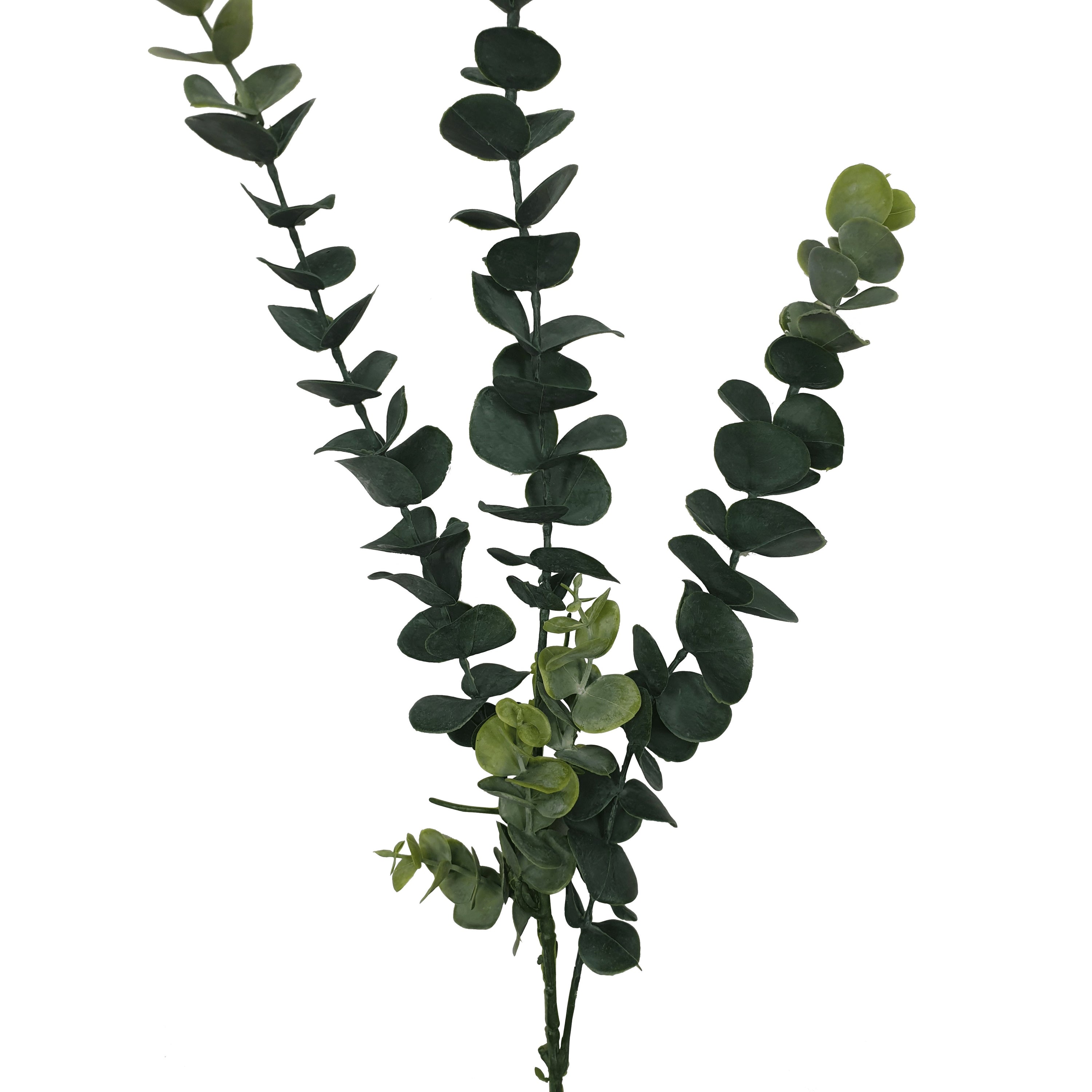 A set of five elegant artificial eucalyptus stems, each 77cm long, showcasing realistic green foliage perfect for home decor and floral arrangements.