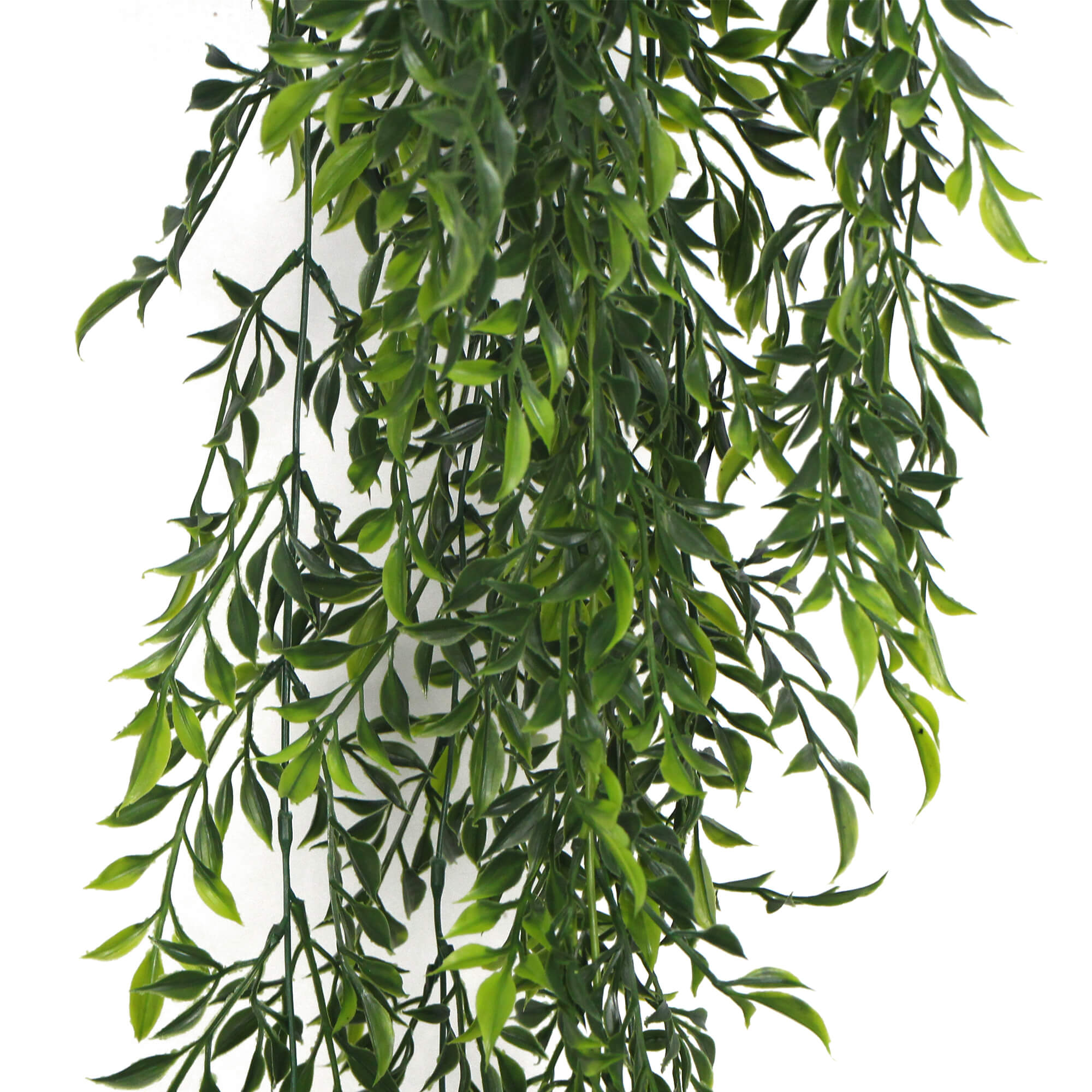 Artificial Hanging Flowering Ruscus Leaf Plant, 130cm long, showcasing vibrant green leaves and long trailing vines, perfect for indoor and outdoor decor.