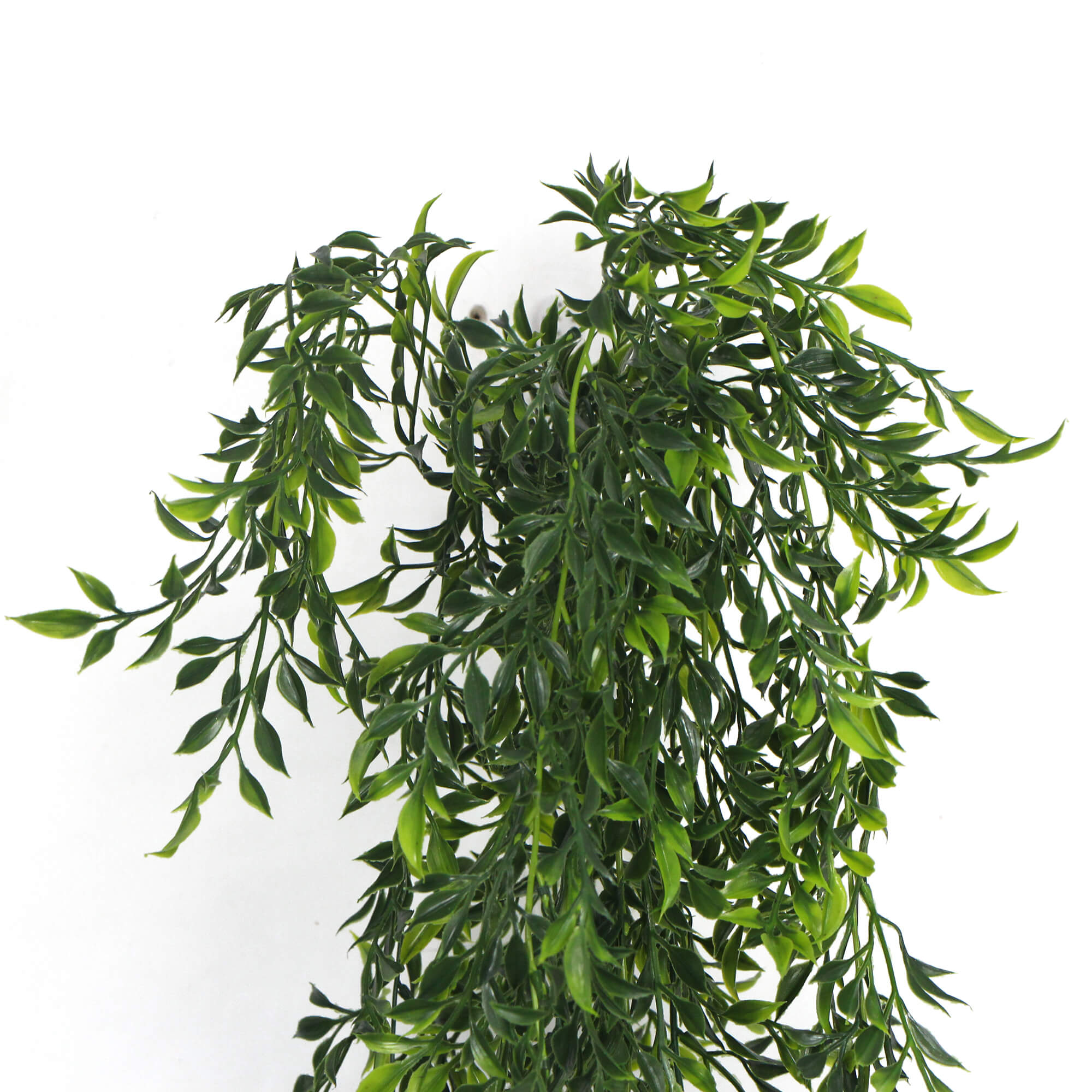 Artificial Hanging Flowering Ruscus Leaf Plant, 130cm long, showcasing vibrant green leaves and long trailing vines, perfect for indoor and outdoor decor.