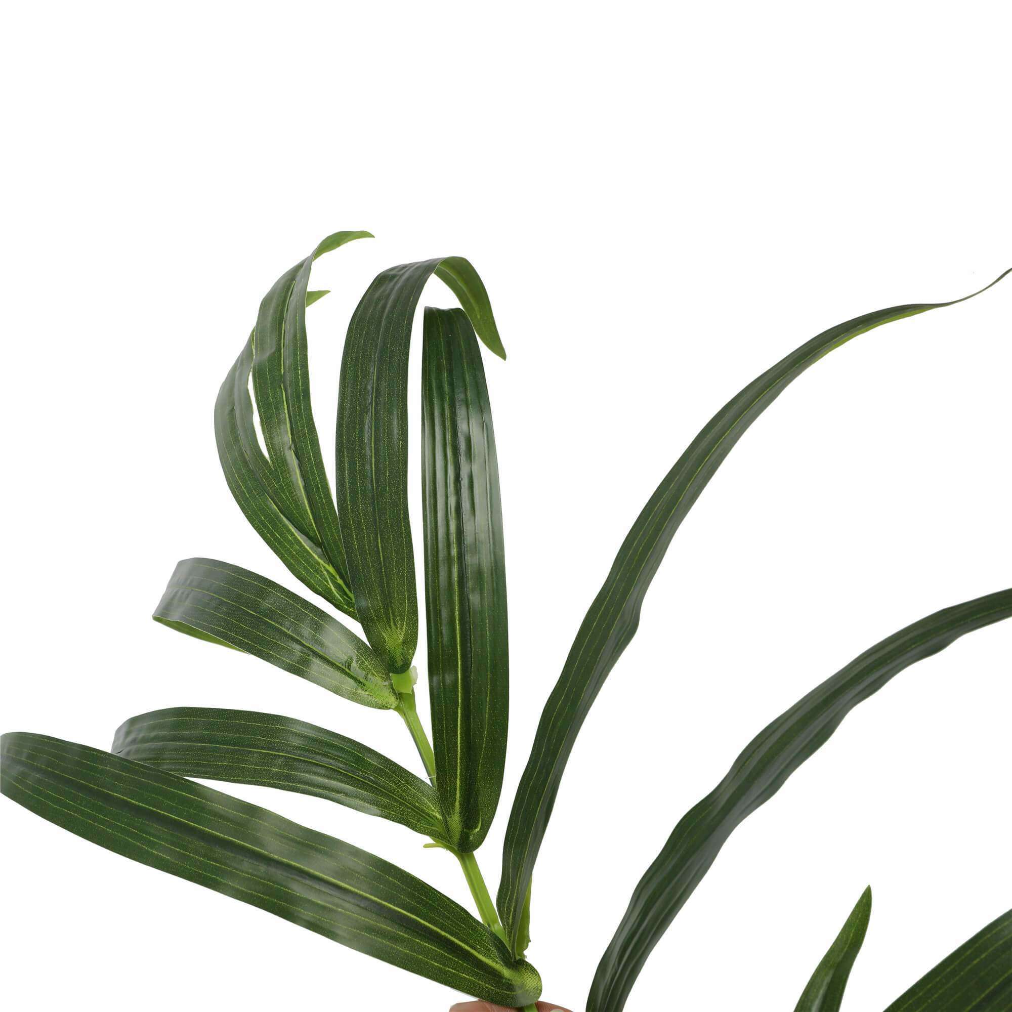 150cm tall artificial Kentia Palm tree with realistic fronds and lush green leaves, perfect for indoor decoration.