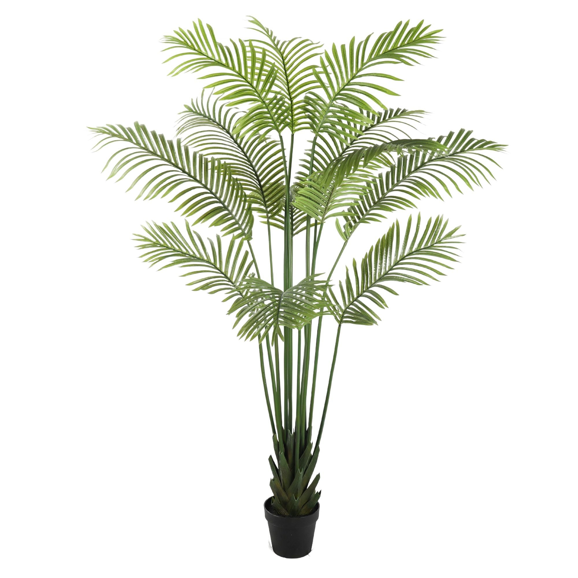 Artificial Multi Stem Hawaii Palm 190cm in a black pot with lush green leaves, perfect for tropical decor.