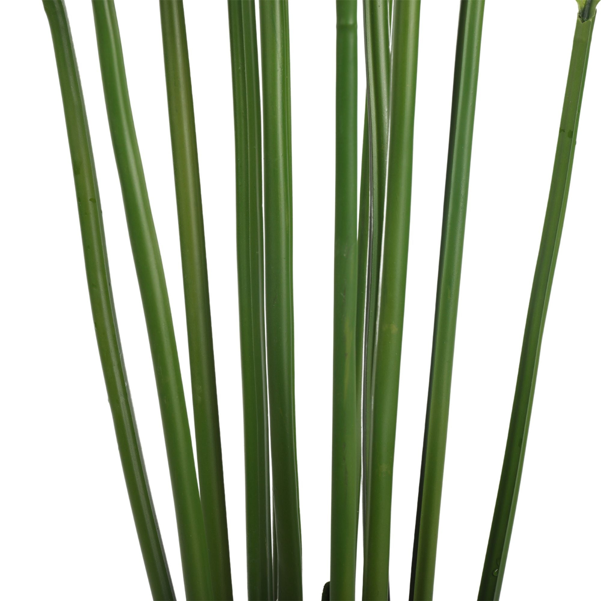 Artificial Multi Stem Hawaii Palm 190cm in a black pot with lush green leaves, perfect for tropical decor.