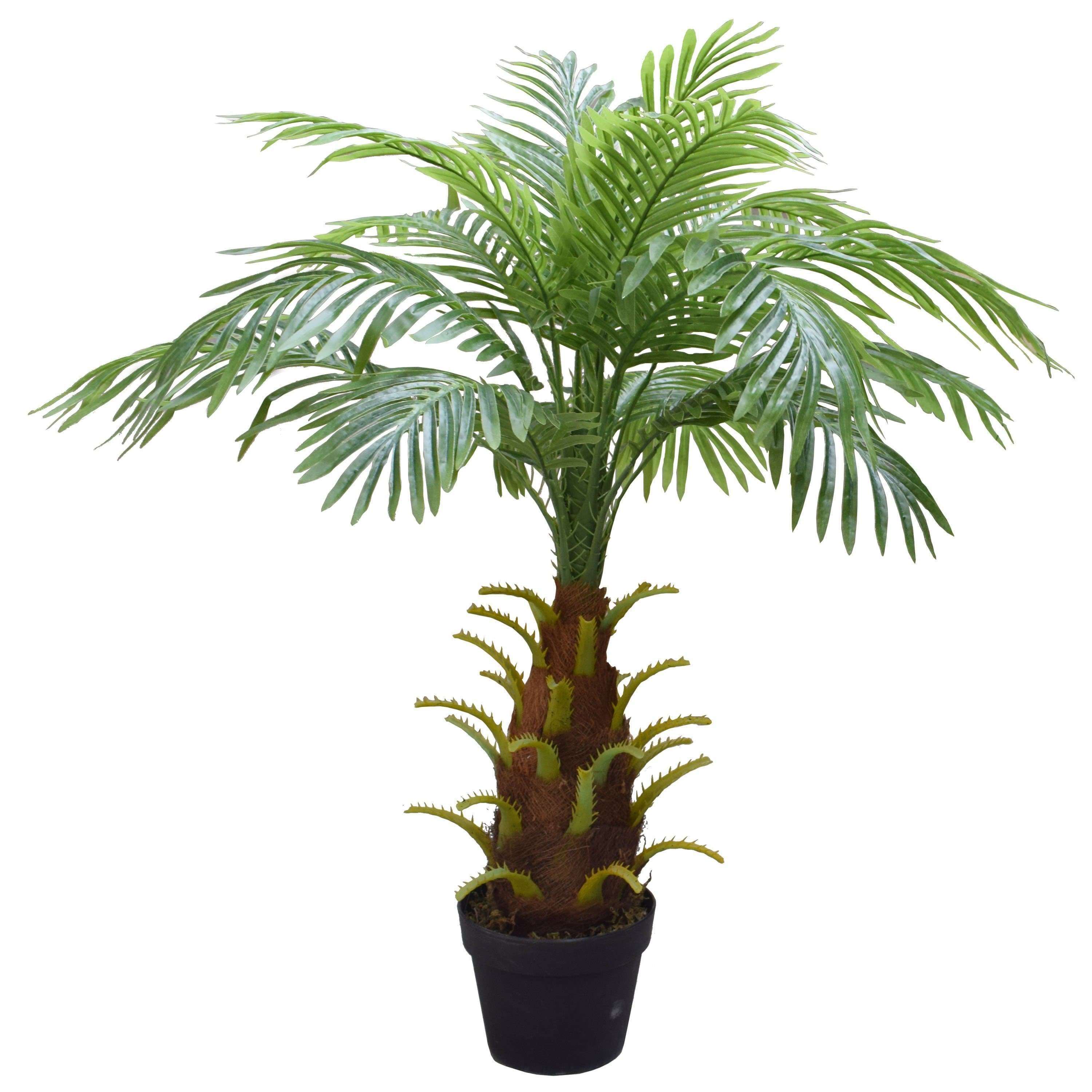 80cm artificial Phoenix Palm tree with lush green leaves and realistic husky stems, perfect for home or office decor.