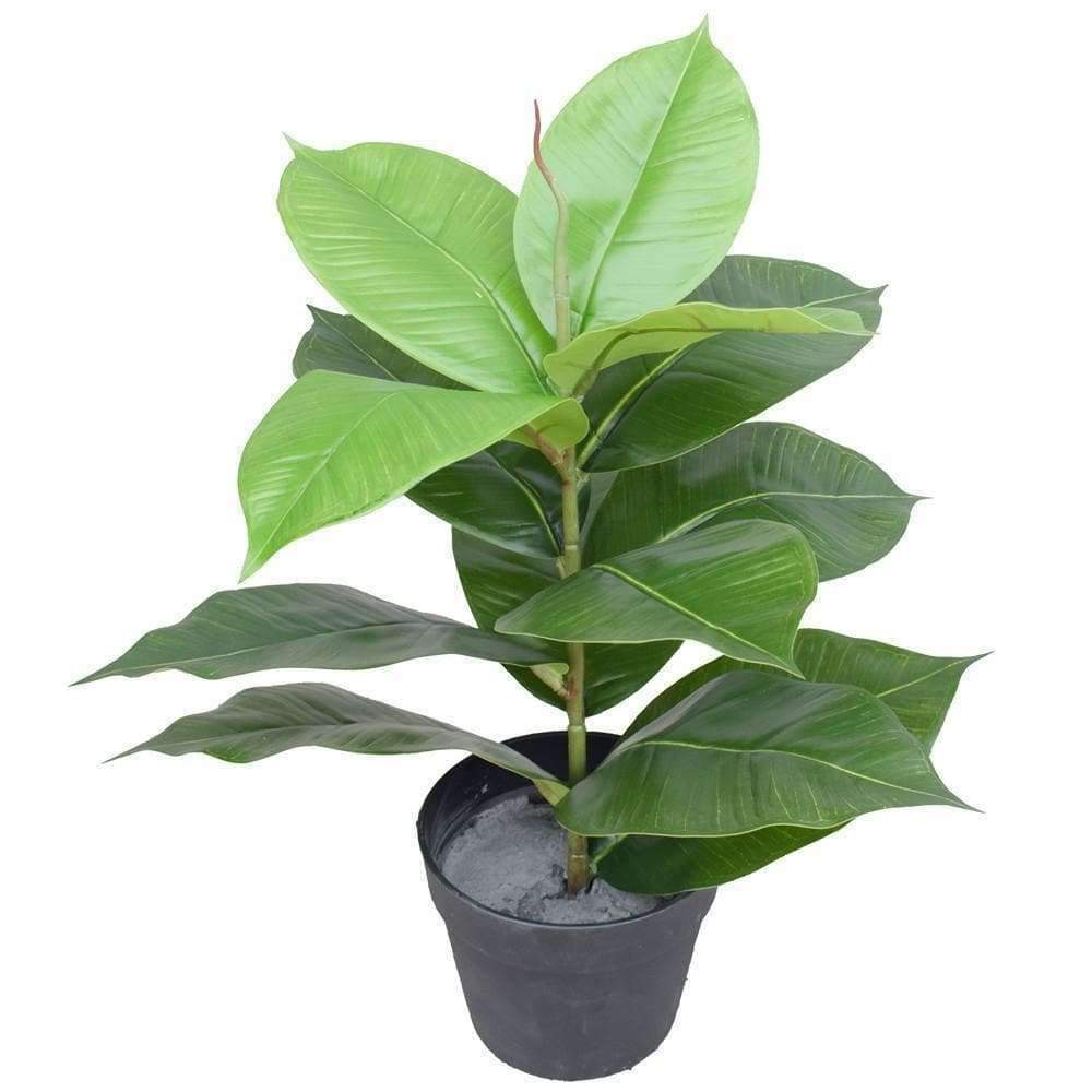 A 55 cm tall artificial potted rubber plant with large glossy leaves in a stylish black pot, perfect for indoor decor.