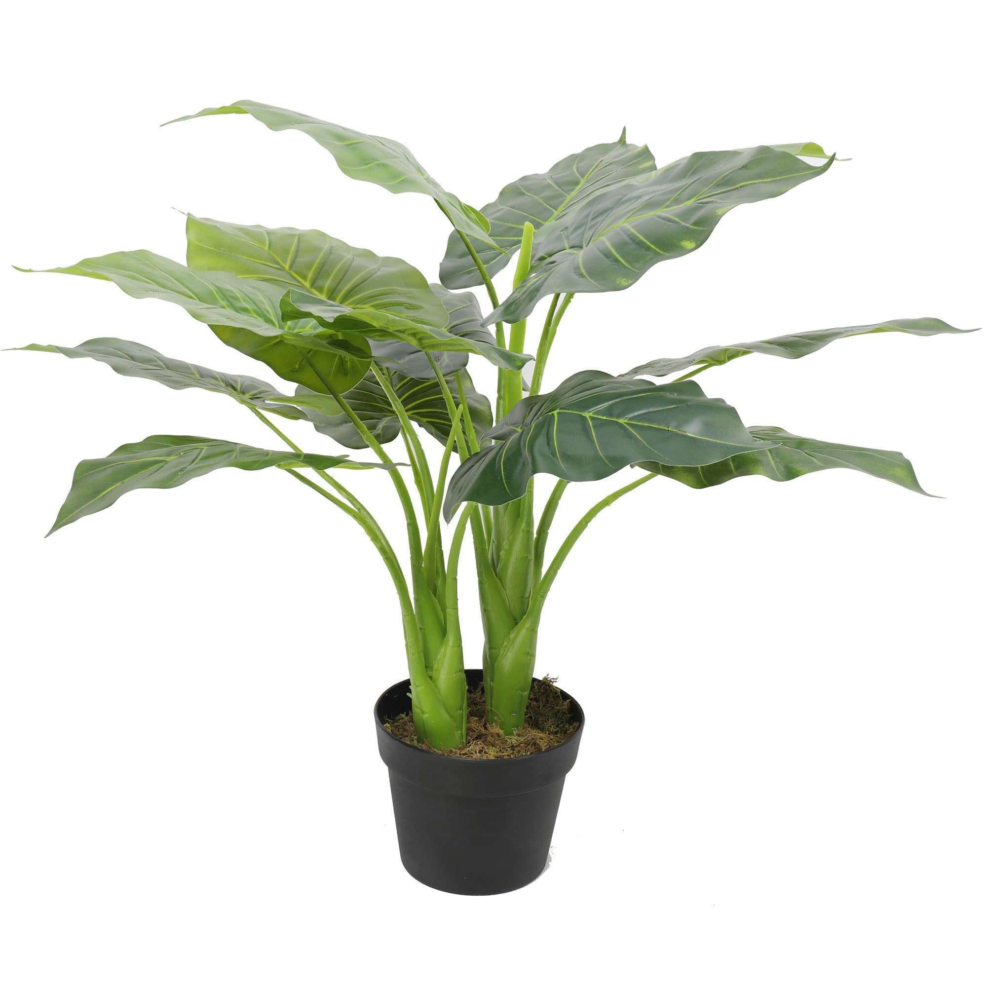 70cm artificial potted taro plant with lush green leaves in a decorative pot, perfect for indoor decoration.