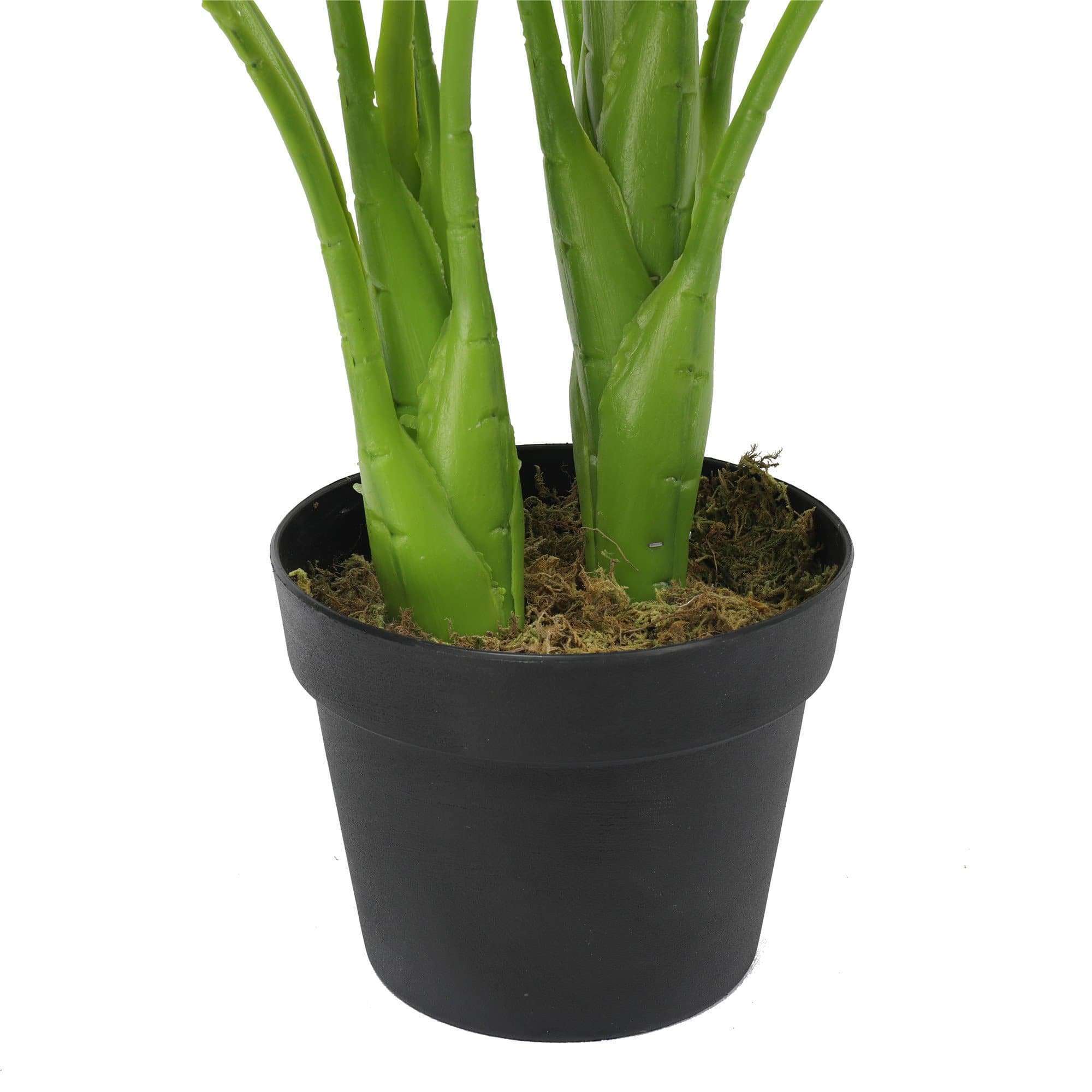 70cm artificial potted taro plant with lush green leaves in a decorative pot, perfect for indoor decoration.