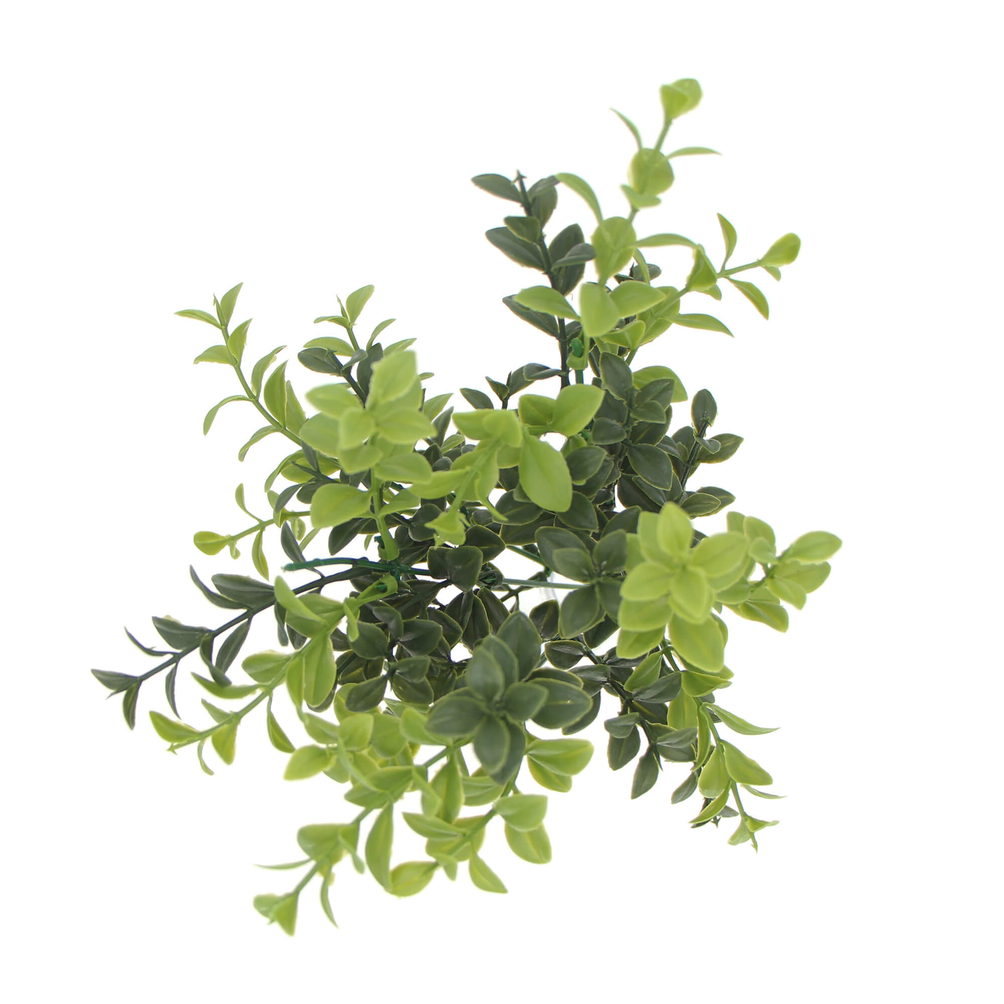 A 30cm artificial rounded boxwood stem with lush green leaves, perfect for home decor.