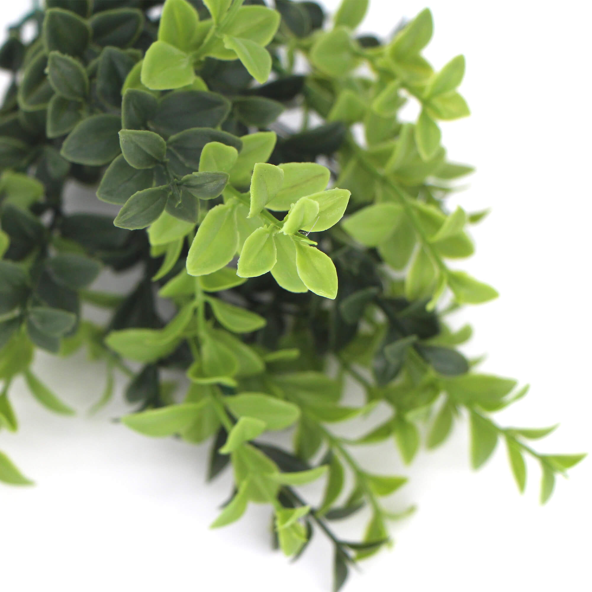 A 30cm artificial rounded boxwood stem with lush green leaves, perfect for home decor.