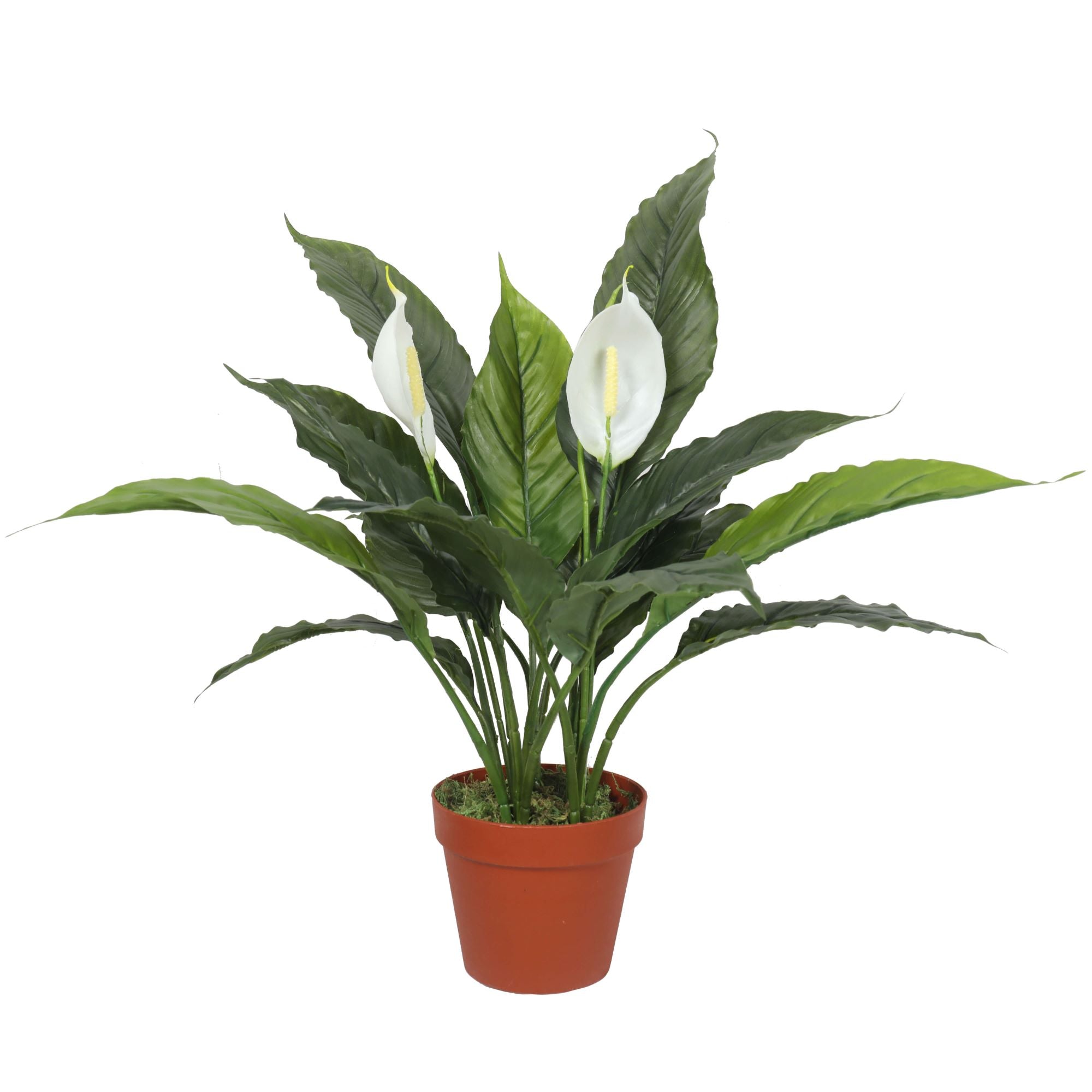 A 60cm Artificial Spathiphyllum Peace Lily Plant with realistic white flowers in a decorative black pot, perfect for indoor decor.