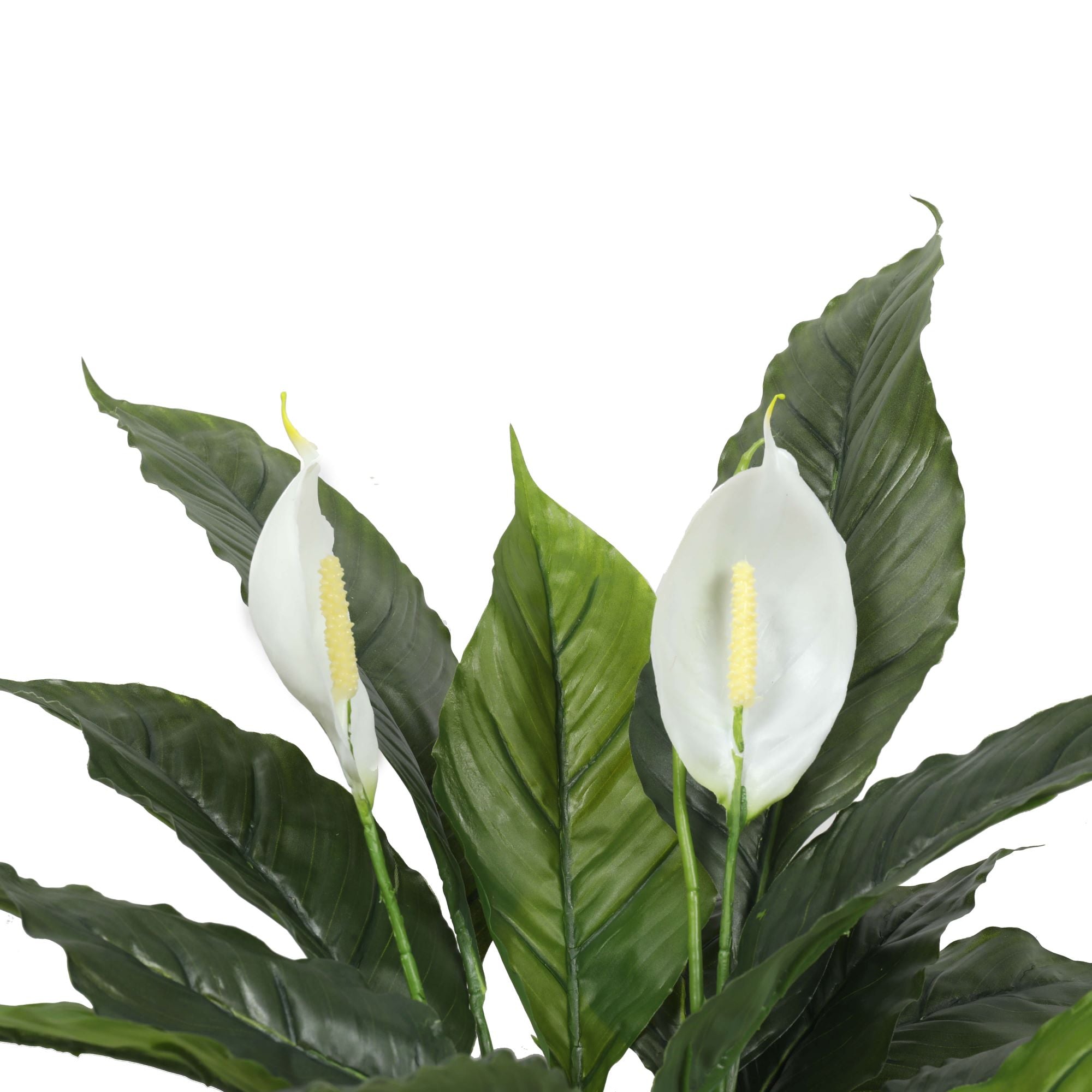 A 60cm Artificial Spathiphyllum Peace Lily Plant with realistic white flowers in a decorative black pot, perfect for indoor decor.