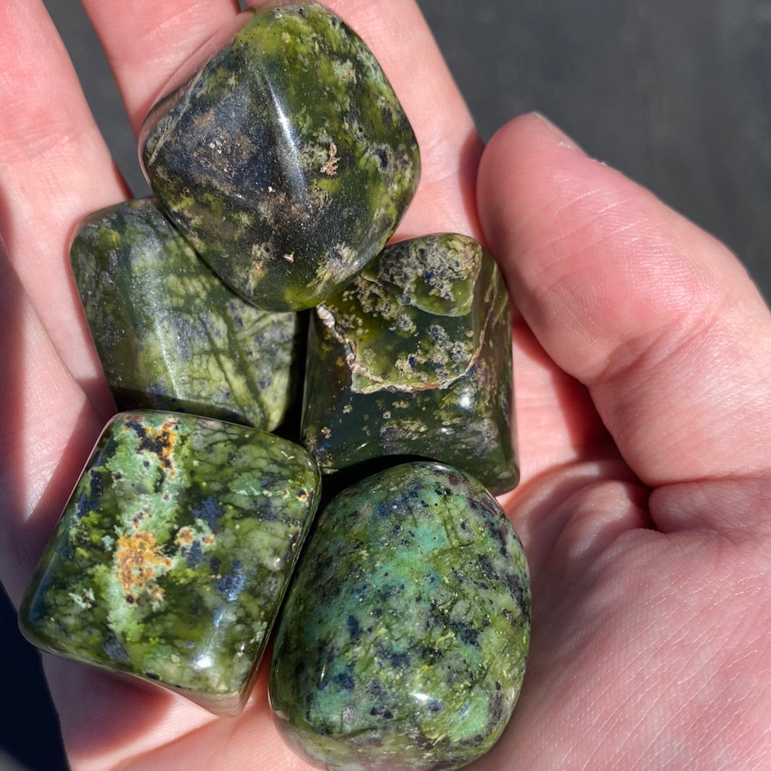 Asterite Serpentine crystal showcasing its vitreous green luster and unique veining patterns, perfect for metaphysical use.