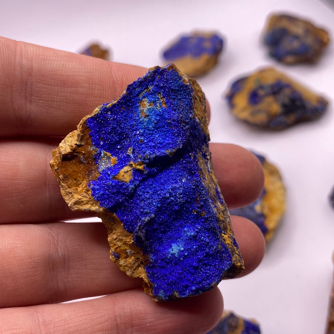 A collection of vibrant blue Azurite chunks showcasing their unique textures and colors, perfect for emotional balance and inner strength.