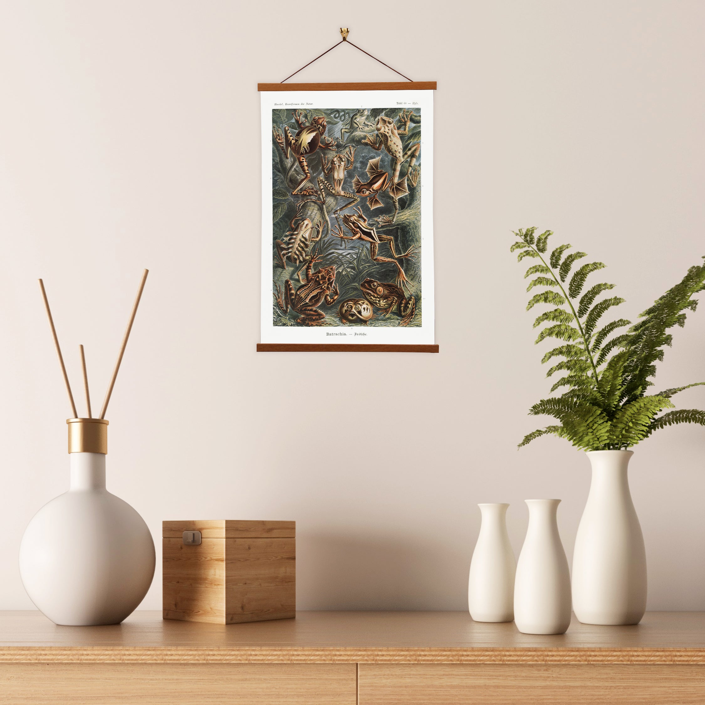 Batrachia–Frösche canvas print by Ernst Haeckel featuring detailed illustrations of various frog species in vibrant colors.