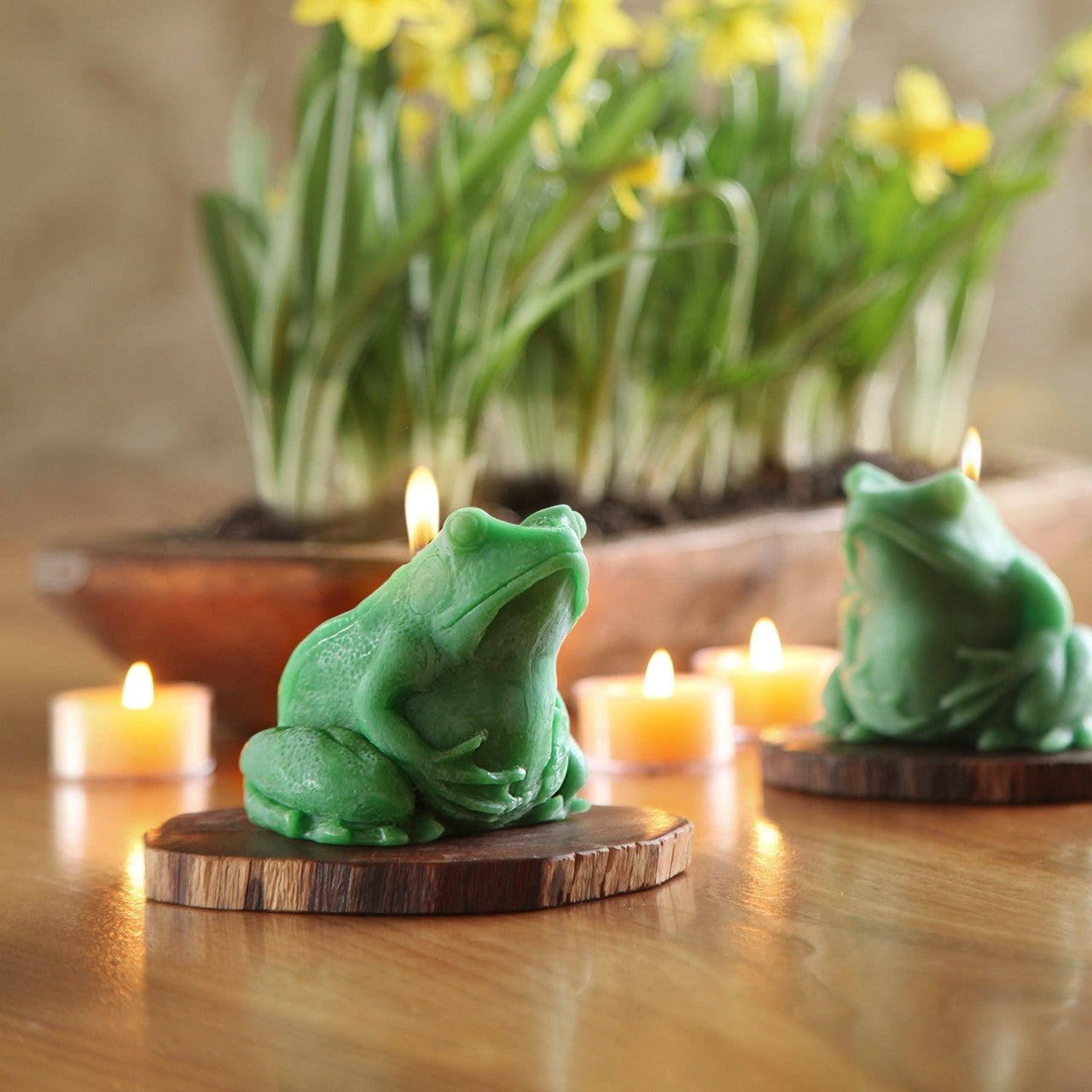 A whimsical green frog candle made of 100% pure beeswax, hand sculpted and designed for home decor.