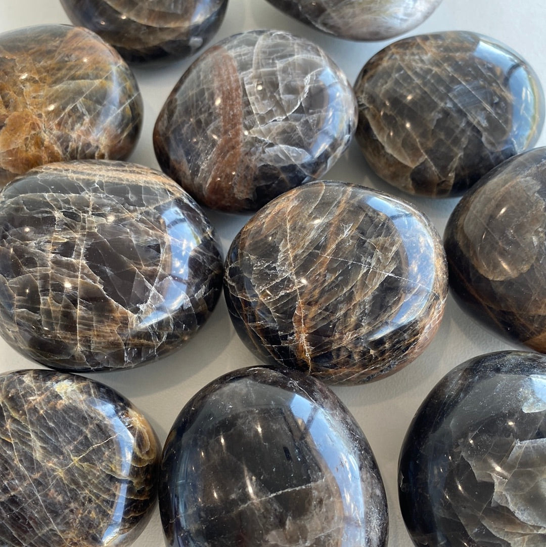 A large Black Moonstone Palm Stone, approximately 2.5-3 inches in length, showcasing its deep black color and smooth surface.