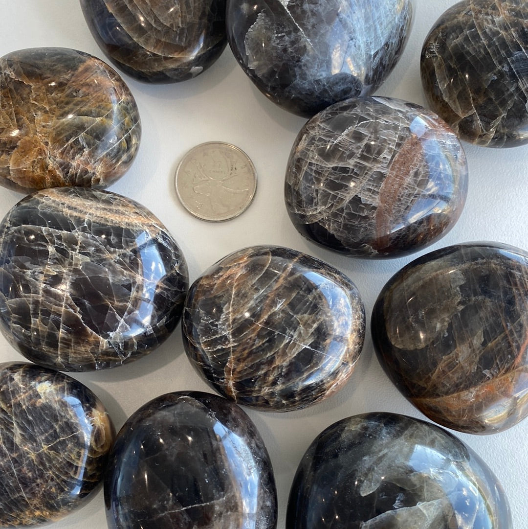 A large Black Moonstone Palm Stone, approximately 2.5-3 inches in length, showcasing its deep black color and smooth surface.