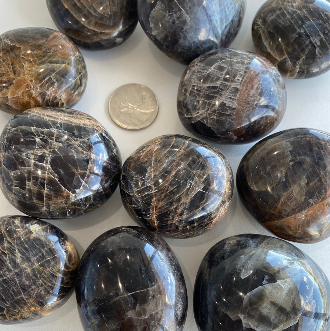 A large Black Moonstone Palm Stone, approximately 2.5-3 inches in length, showcasing its deep black color and smooth surface.