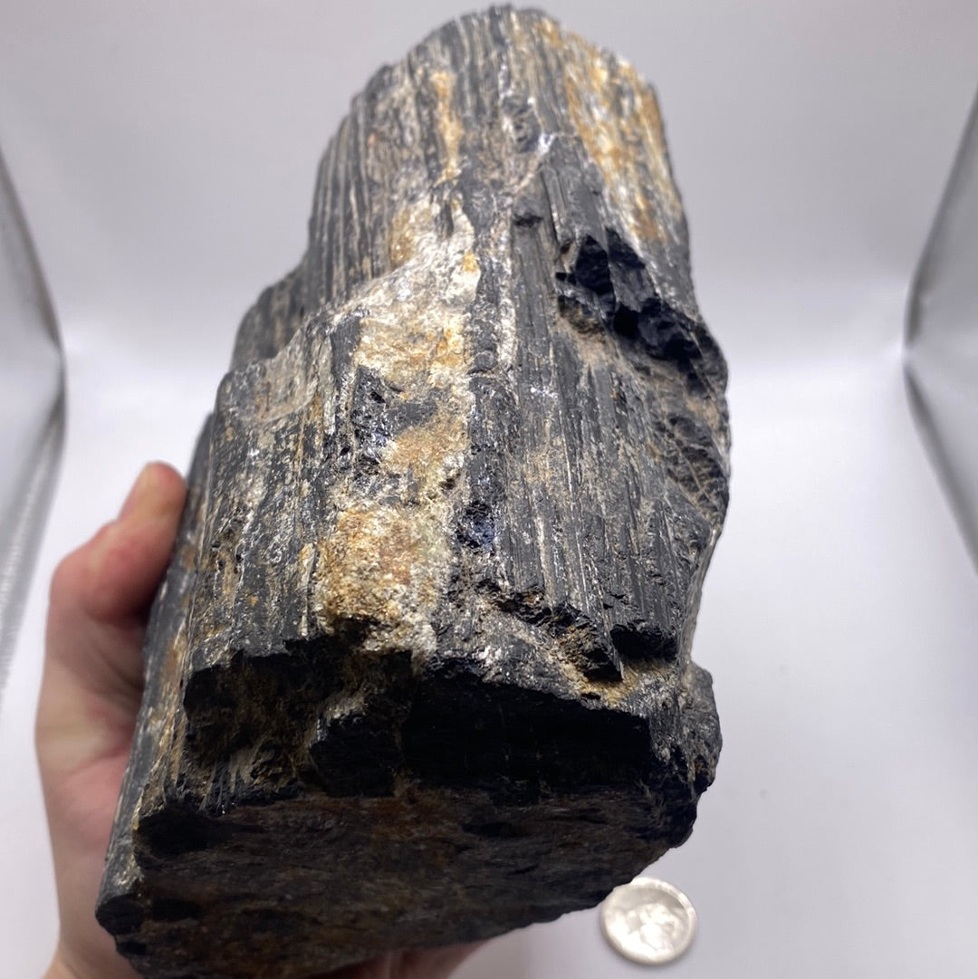 A large 9.7 LB Black Tourmaline specimen with a shiny black and metallic luster, showcasing its unique natural formations.