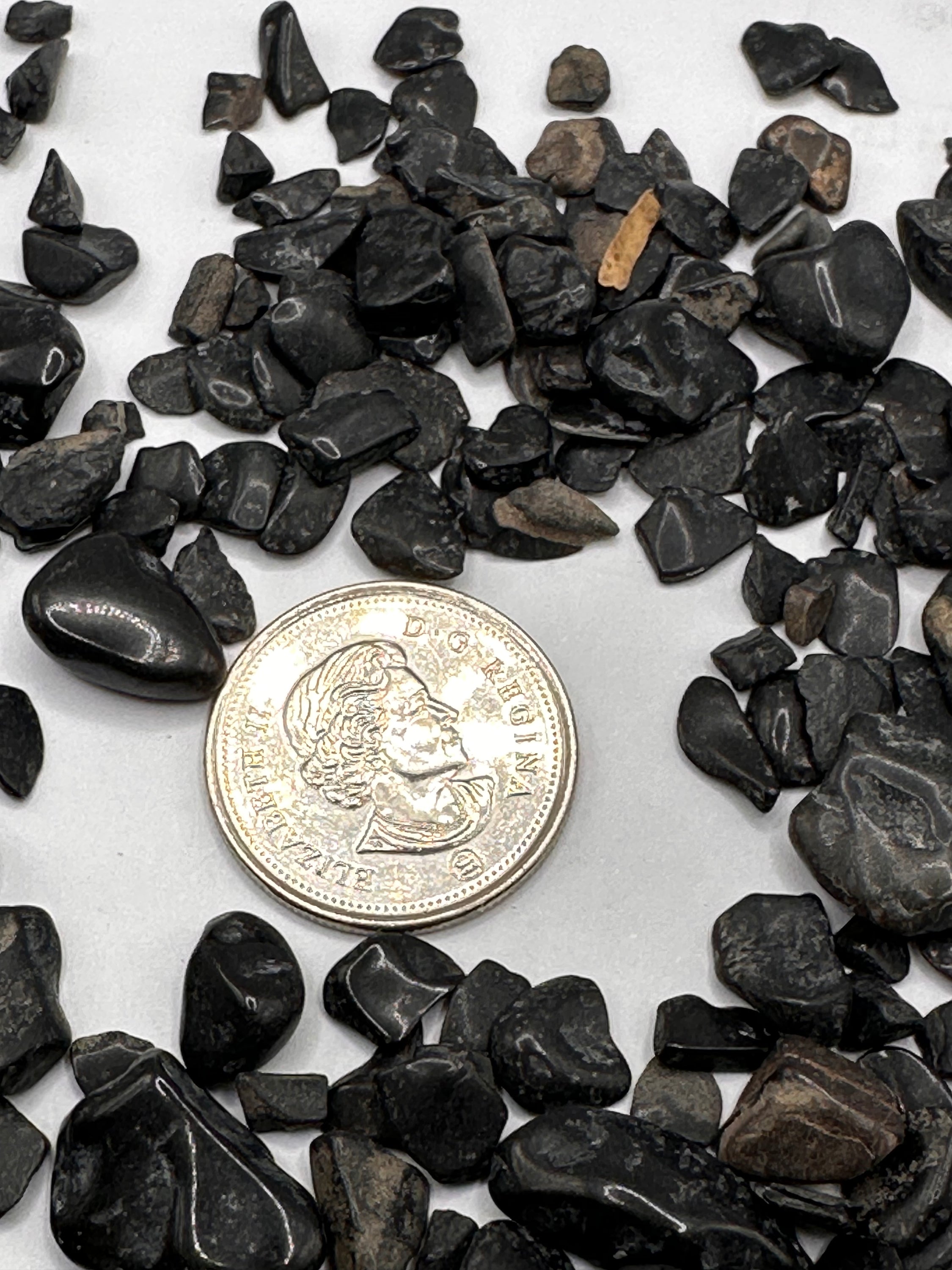 A collection of rough cut black tourmaline chips showcasing unique shapes, sizes, and Mica and Quartz inclusions.