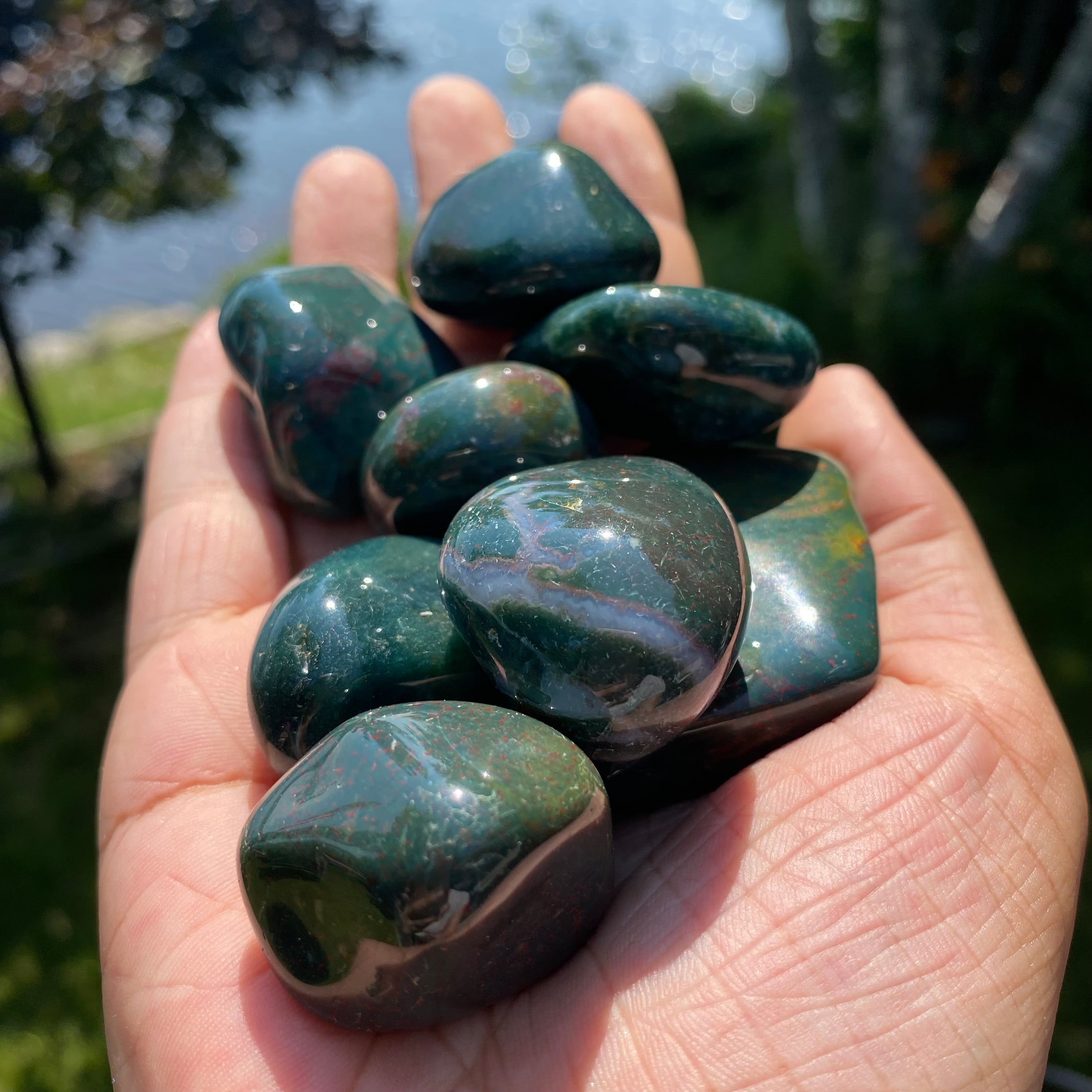 A collection of Bloodstone Tumbled Stones showcasing their unique green and red patterns, perfect for healing and meditation.