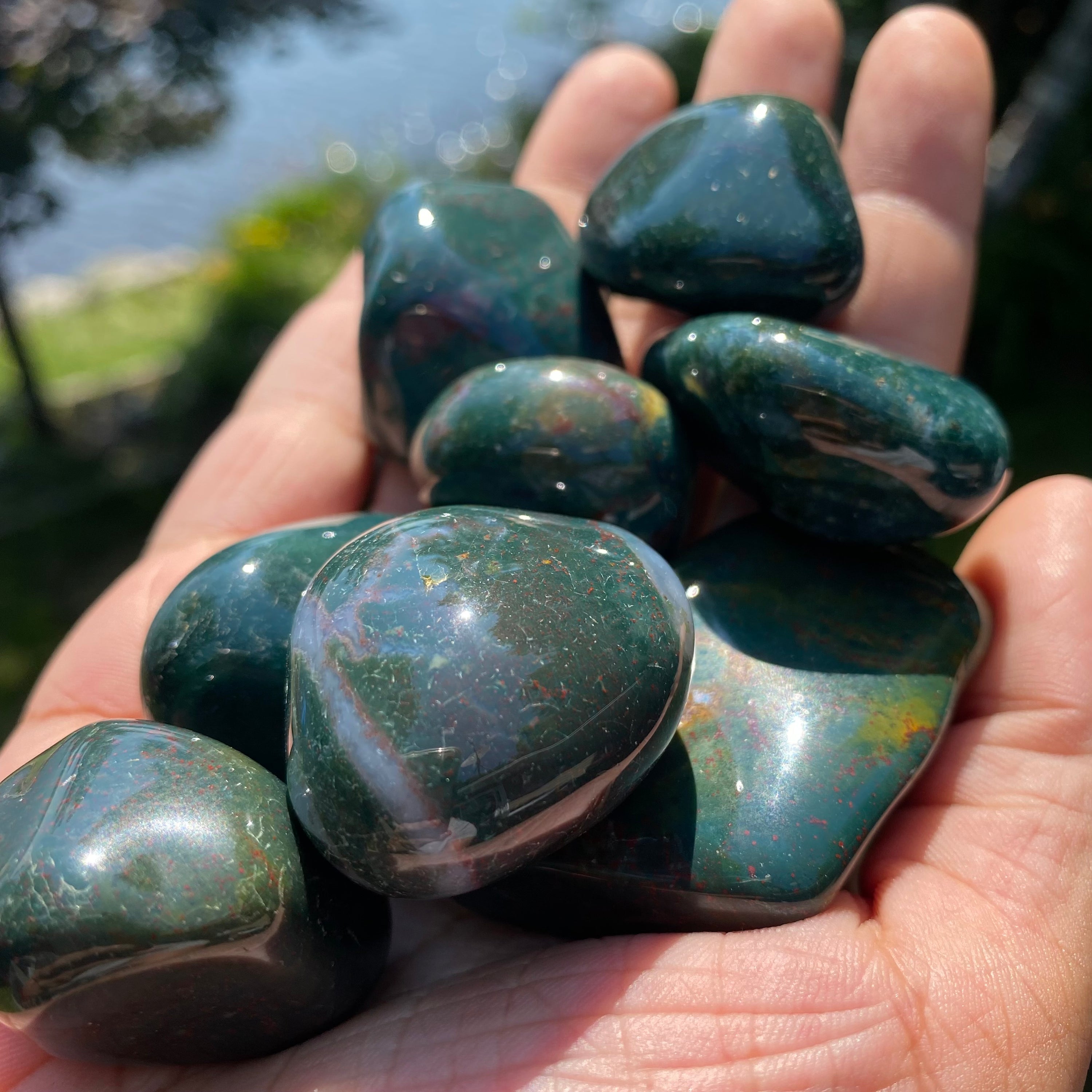 A collection of Bloodstone Tumbled Stones showcasing their unique green and red patterns, perfect for healing and meditation.