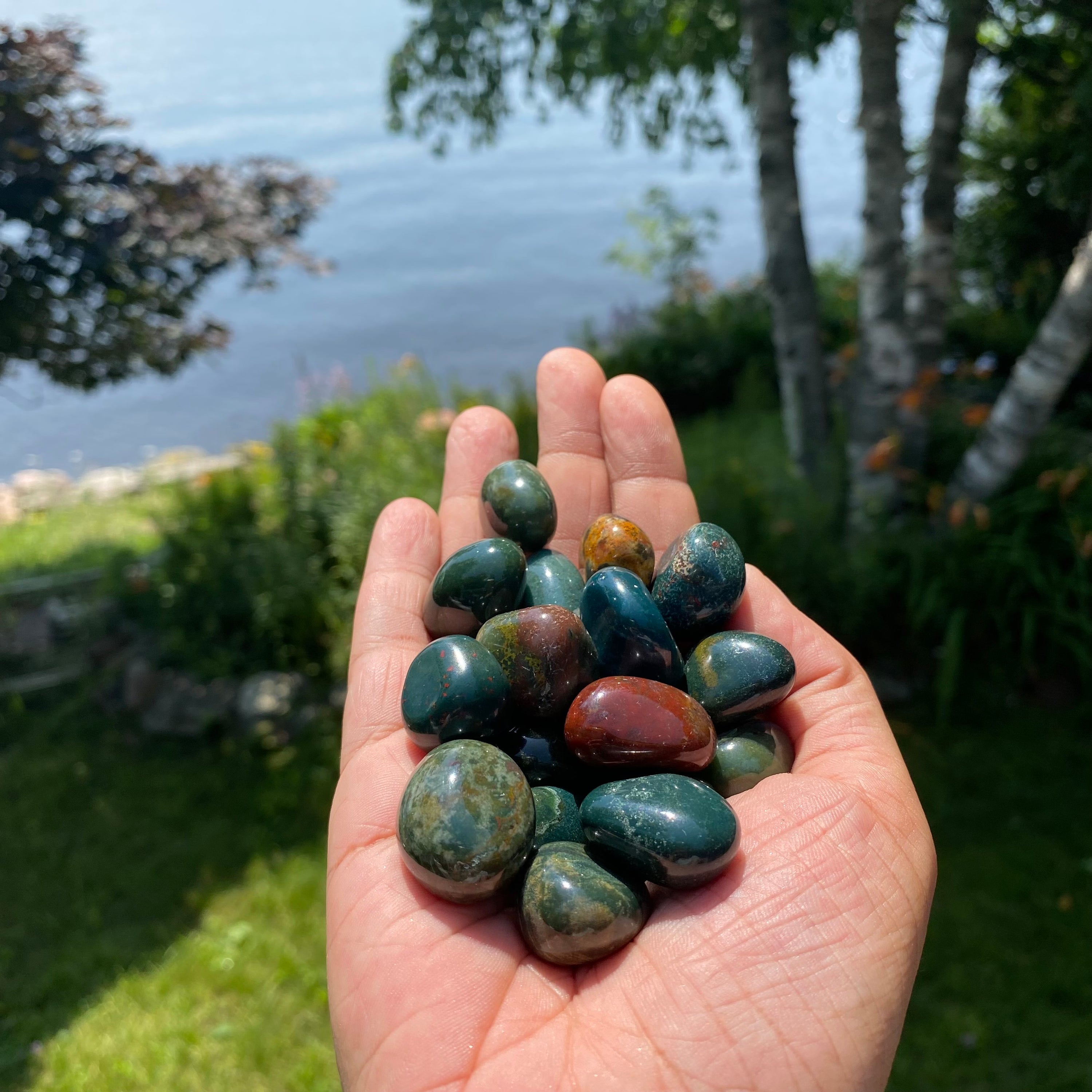 A collection of Bloodstone Tumbled Stones showcasing their unique green and red colors, perfect for healing and grounding.