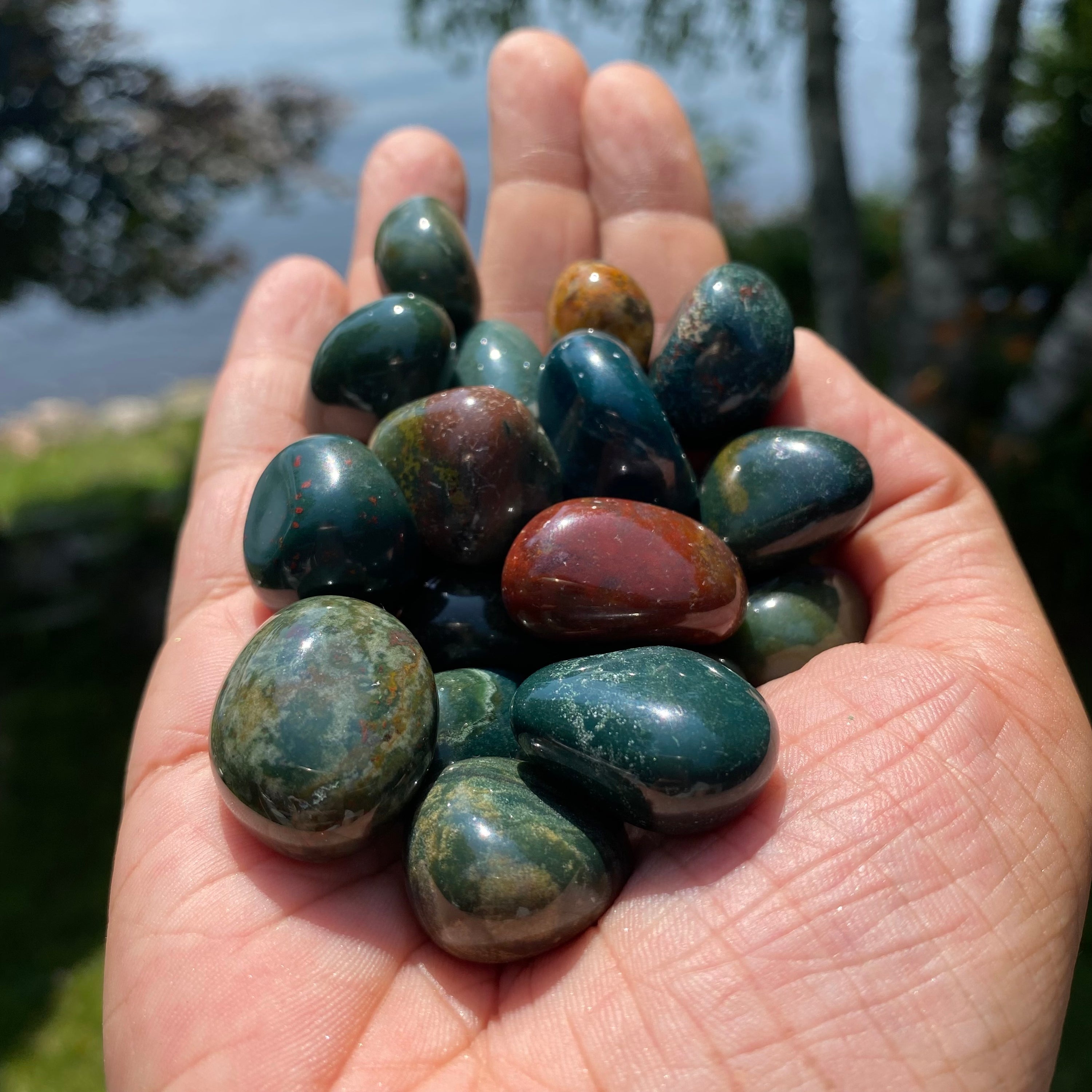 A collection of Bloodstone Tumbled Stones showcasing their unique green and red colors, perfect for healing and grounding.